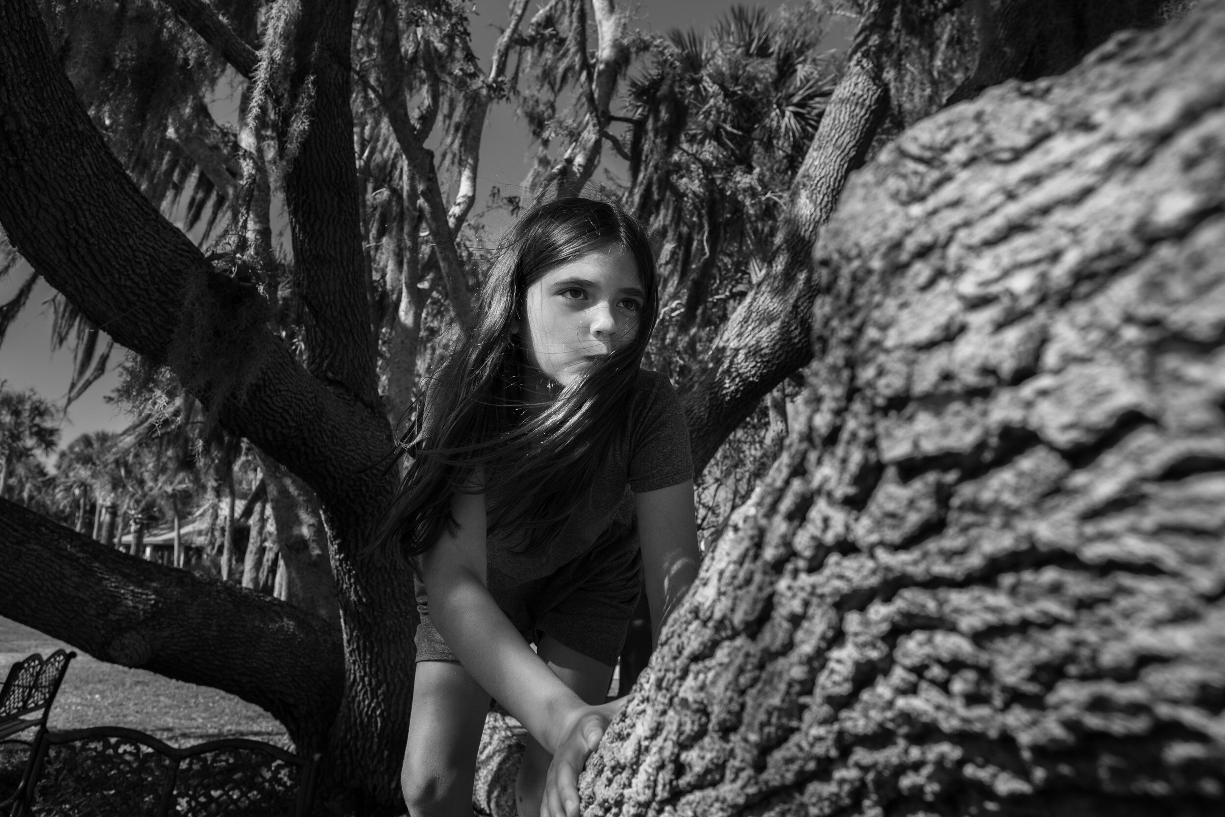 Girl climbing a tree