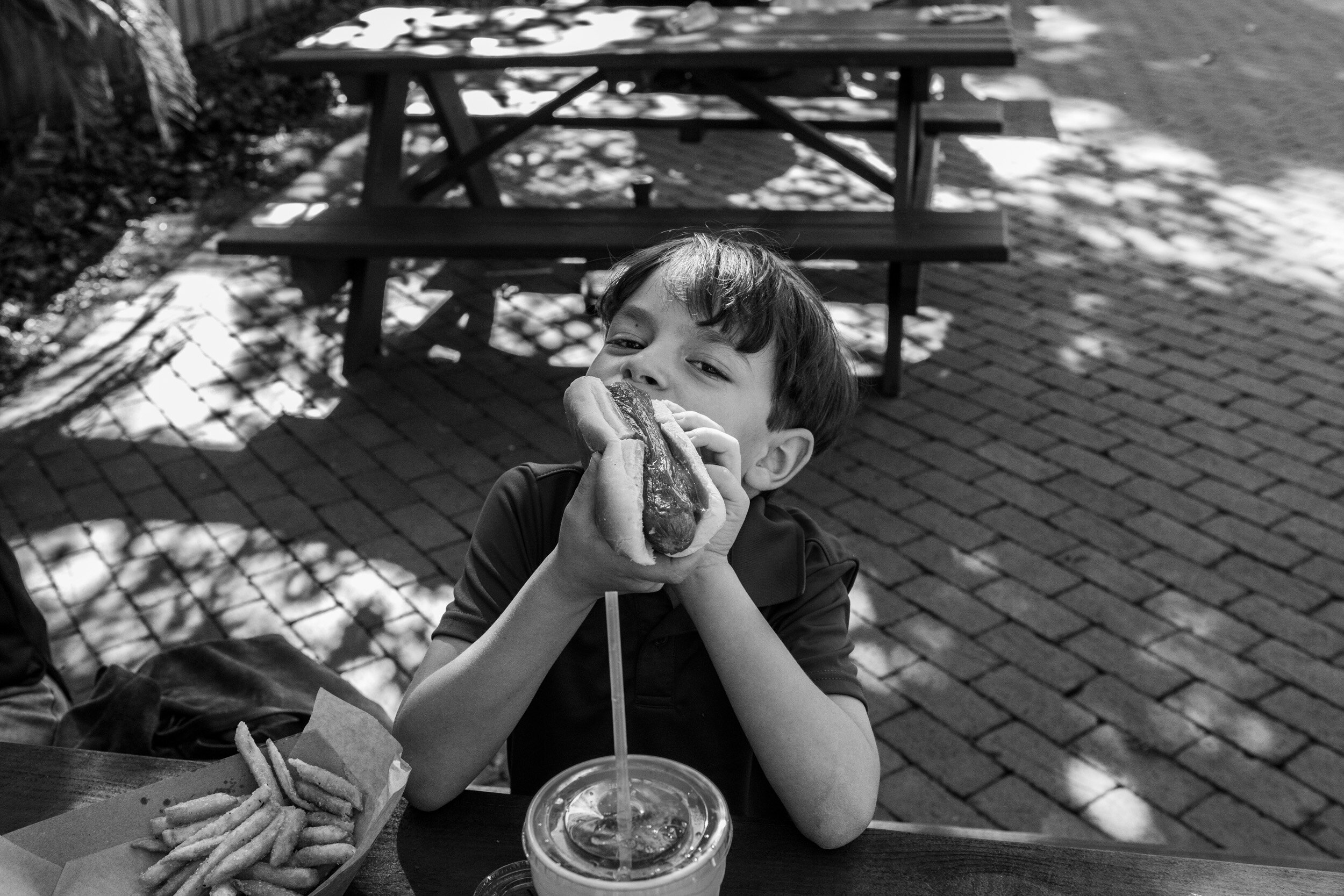 little boy eating a hot dog