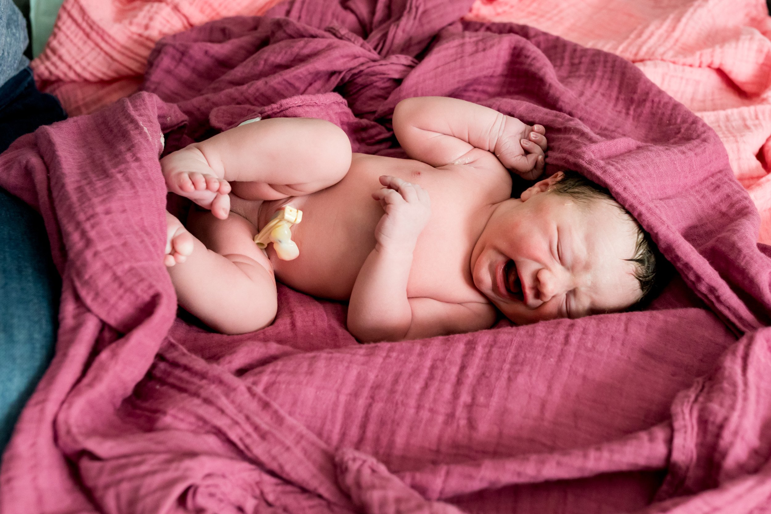 newborn baby in a pink blanket