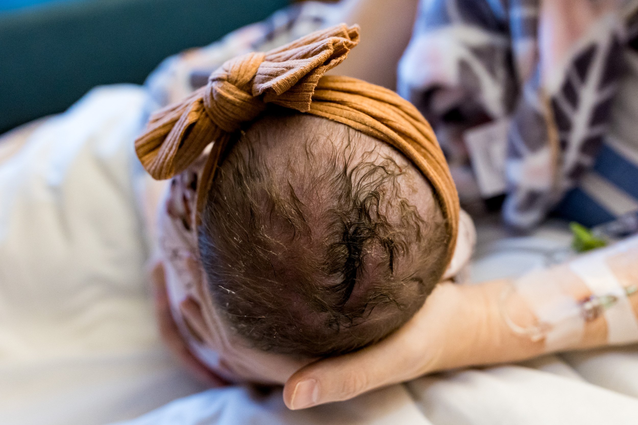newborn baby's head with bow headband