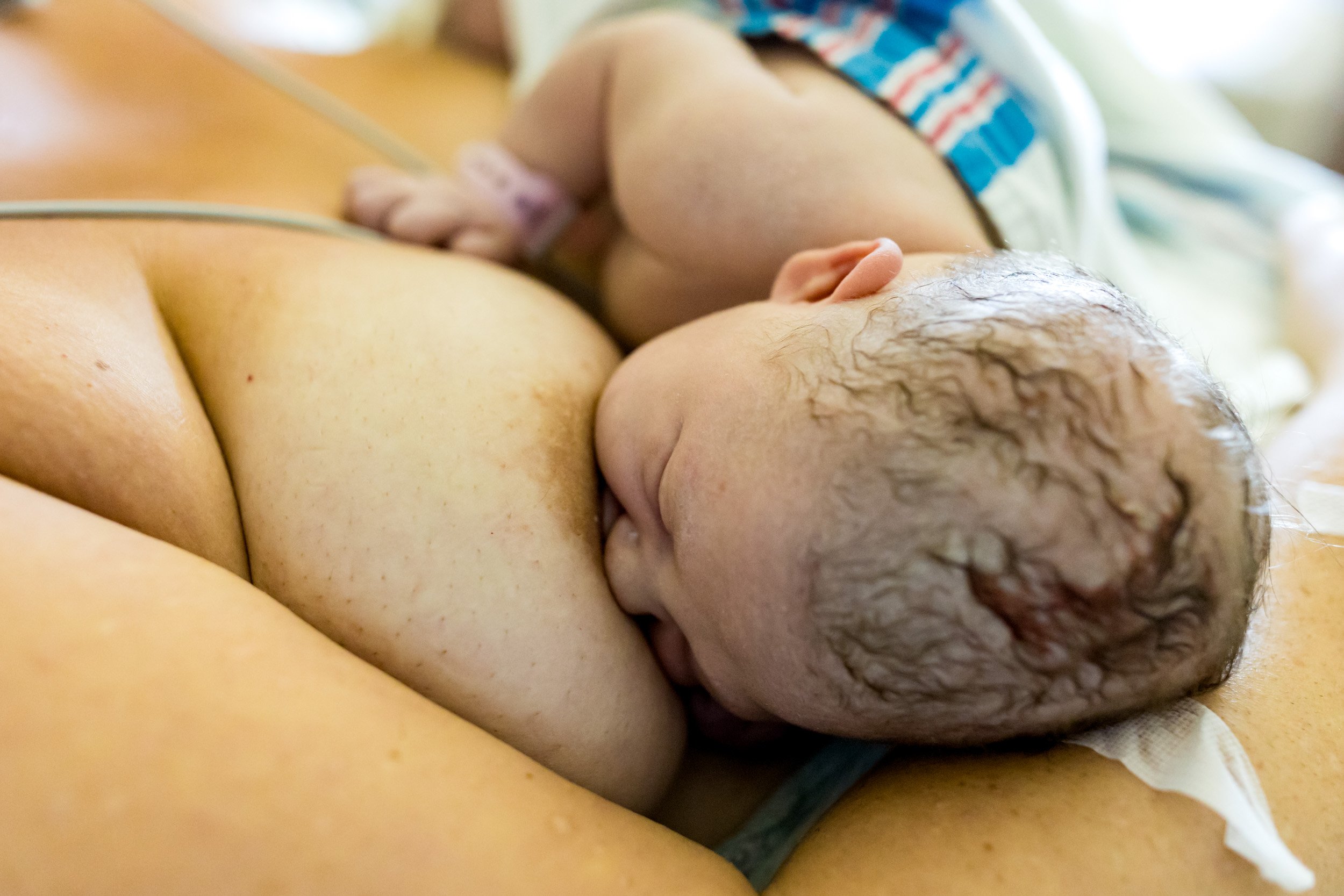 newborn baby nursing