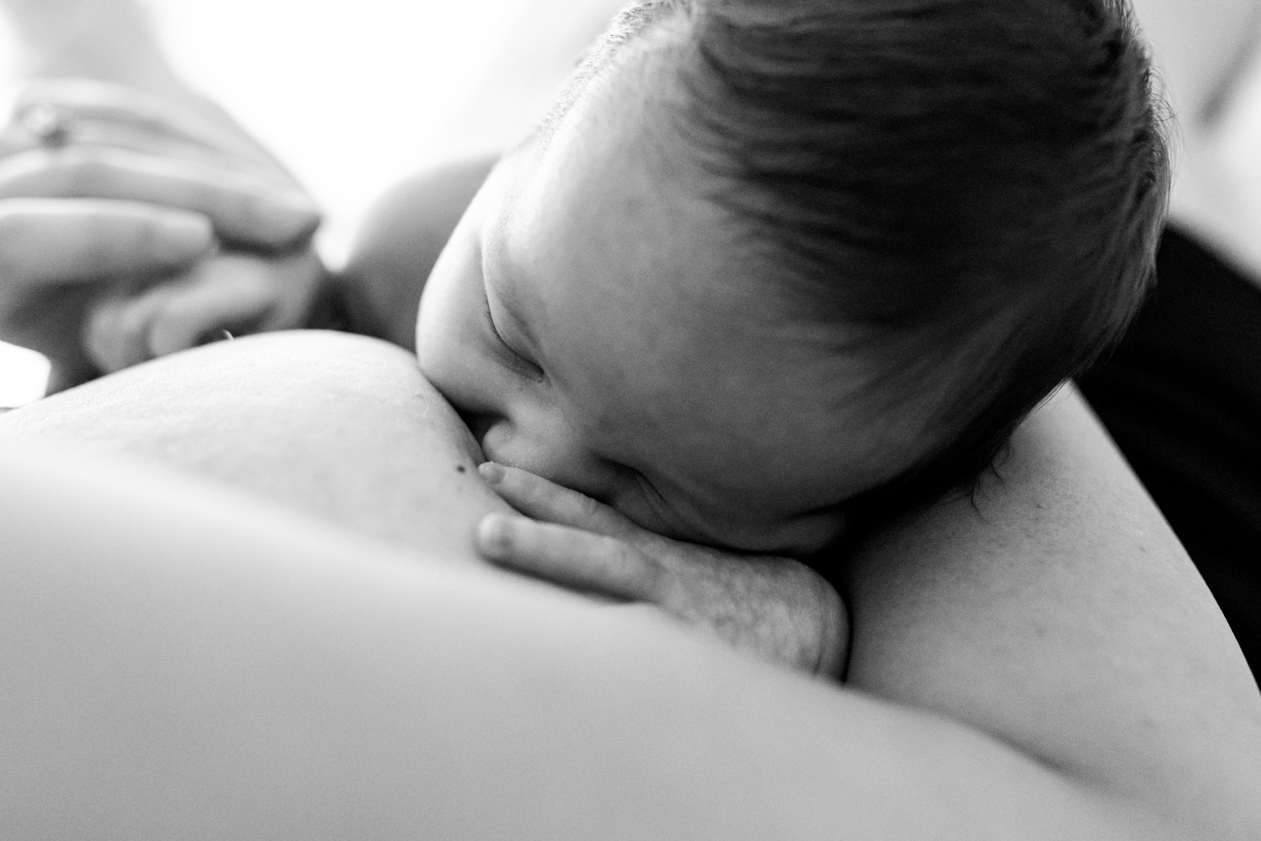 newborn baby nursing