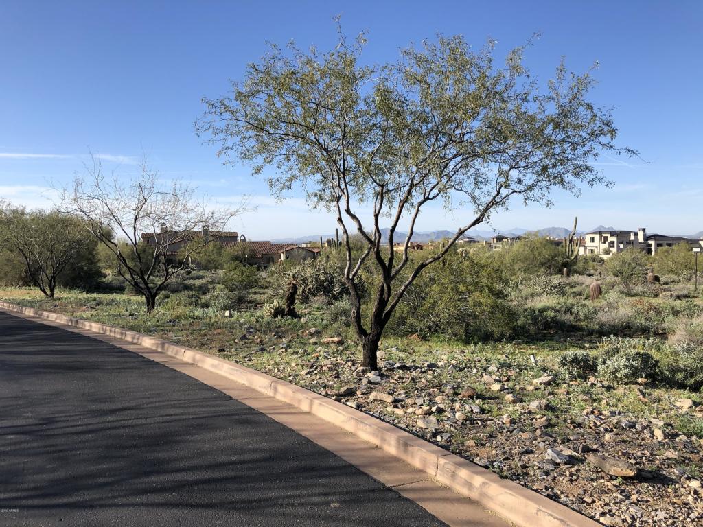 20190310223310301329000000-o.jpg