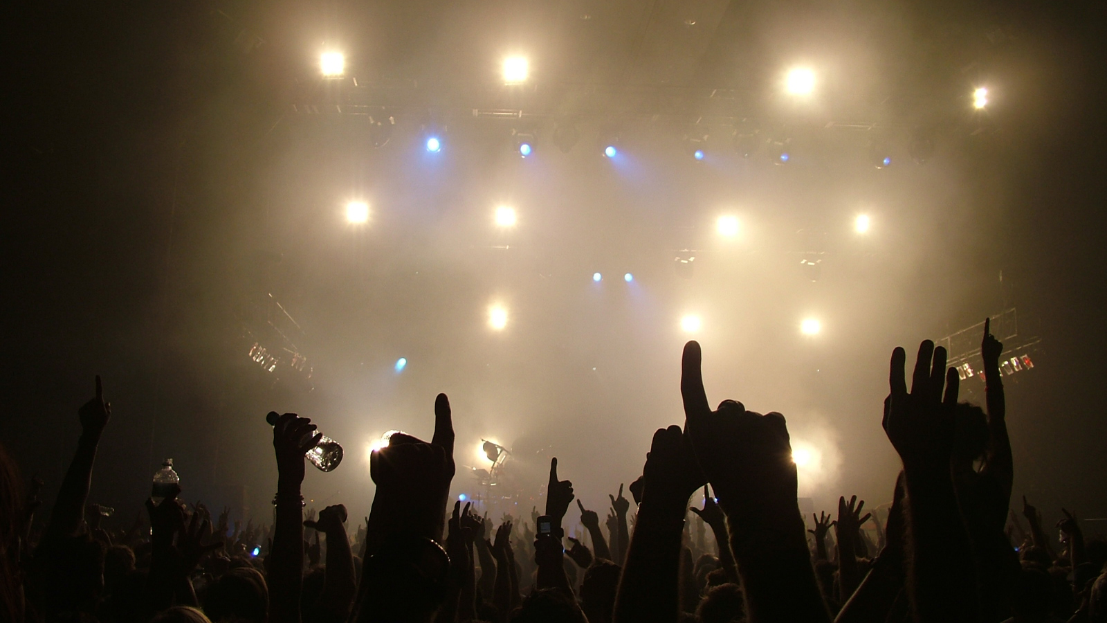 concert2.jpg