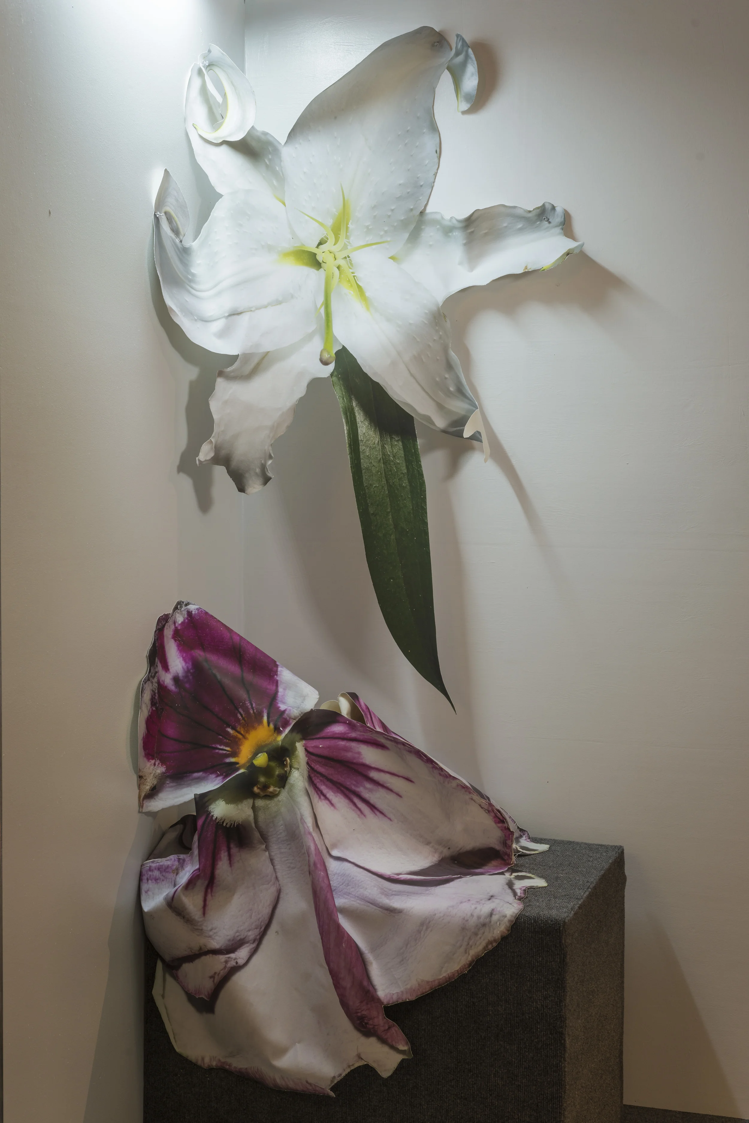 Flowers, 2014