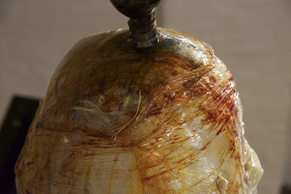 Dragon Egg, 2016 (detail)