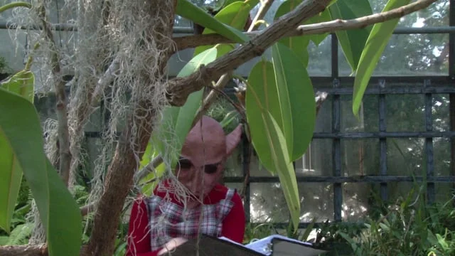 Aspiring Actress trailer