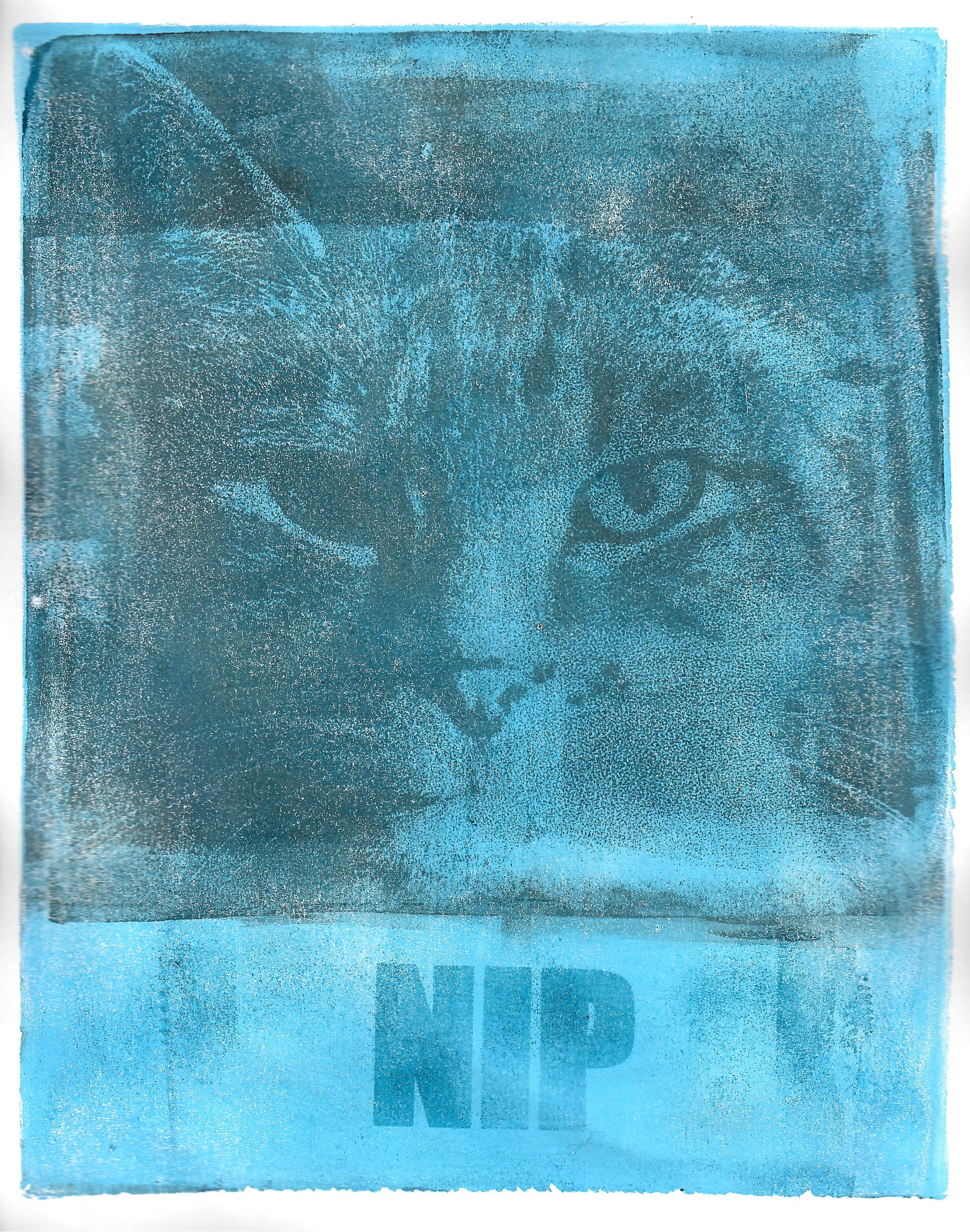 cat nip catnip cat art give her the nip kitty art