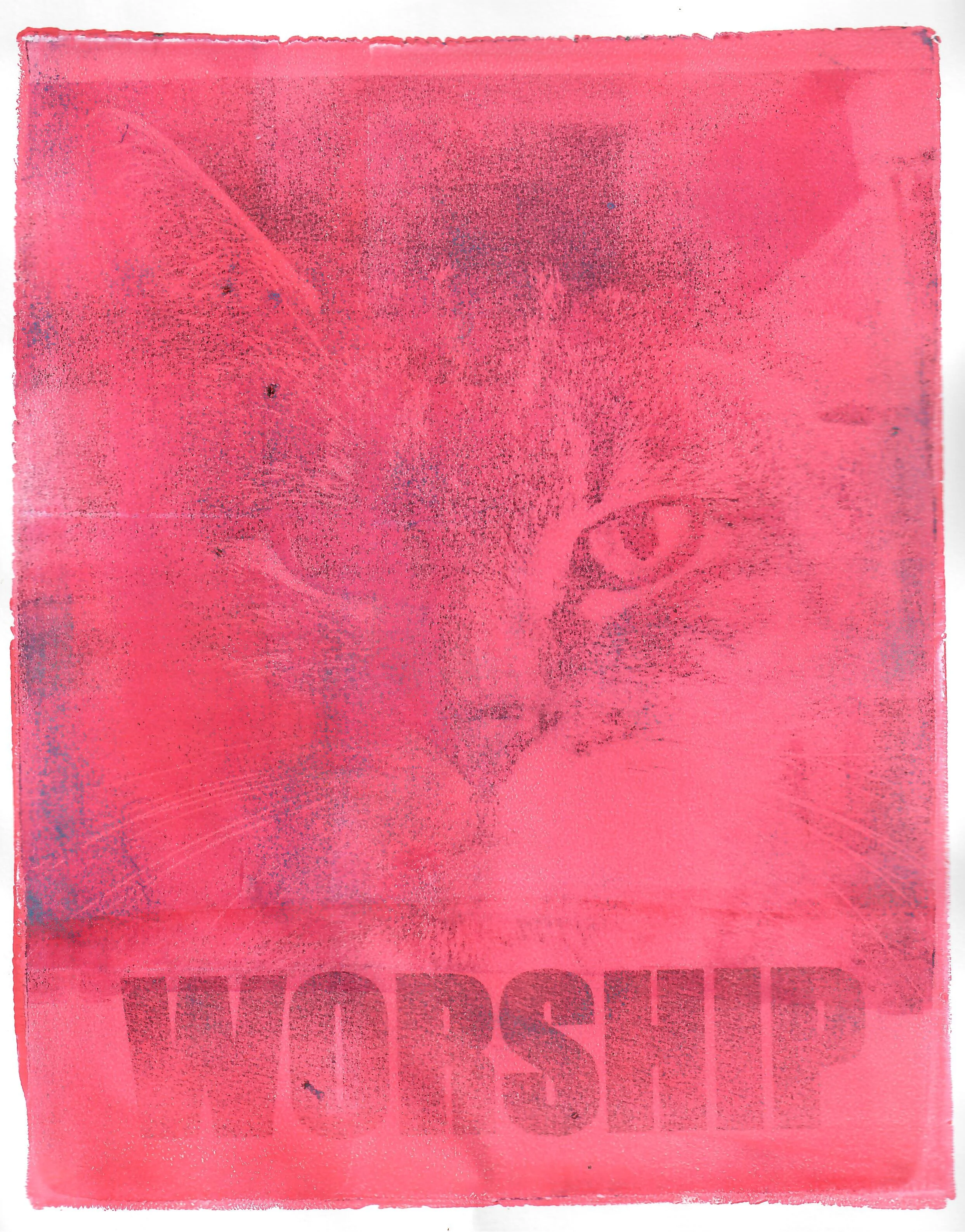 cat worship cat art pink cat serious cat gift
