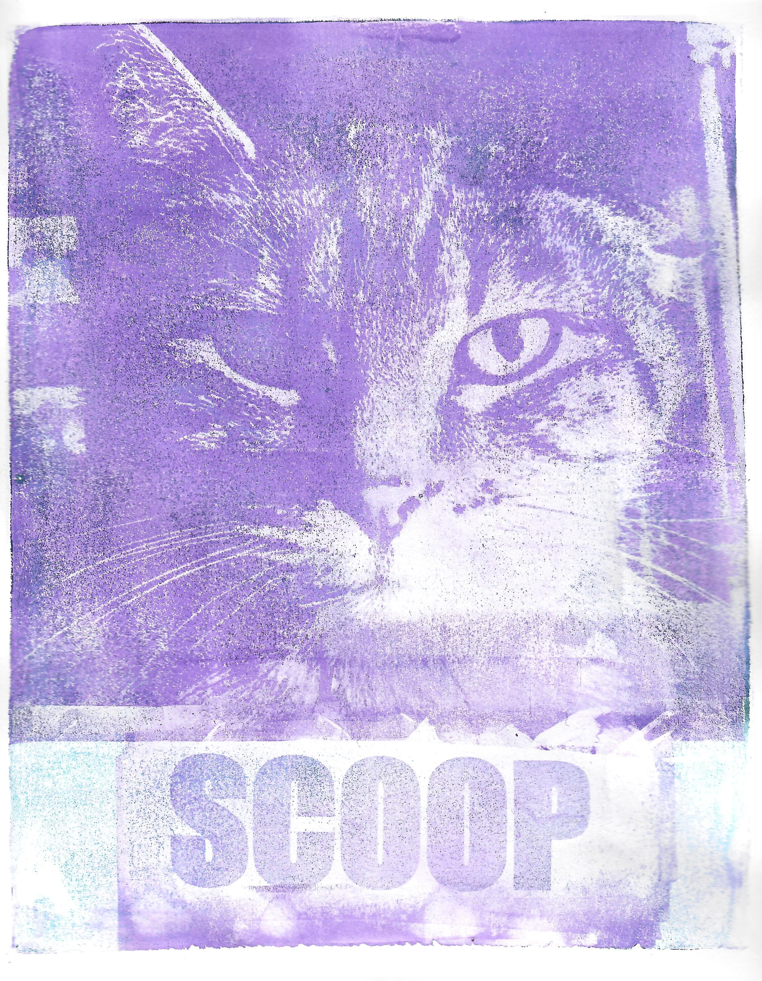 cat art kitty print kitty art purple scoop the catbox demands tabby cat