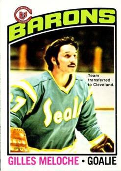 The California Golden Seals: A Tale of White Skates, Red Ink, and One of  the NHL's Most Outlandish Teams