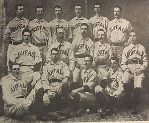 1890_Bisons.jpg