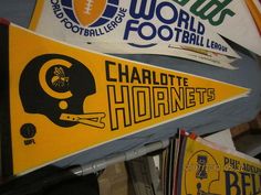 000c3572feaec012db77ab730f0c6cbf--charlotte-hornets.jpg