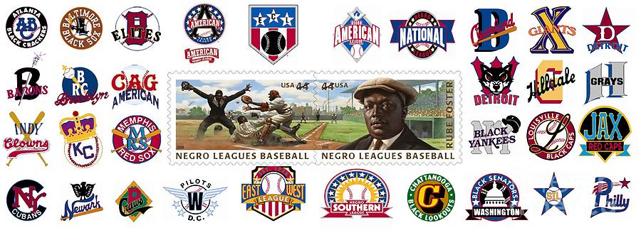 teams-of-the-negro-leagues-mike-baltzgar.jpg