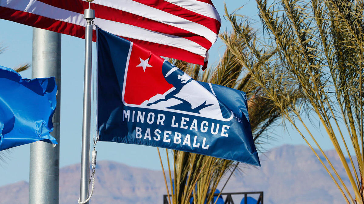 minor-league-baseball-milb-logo.jpg