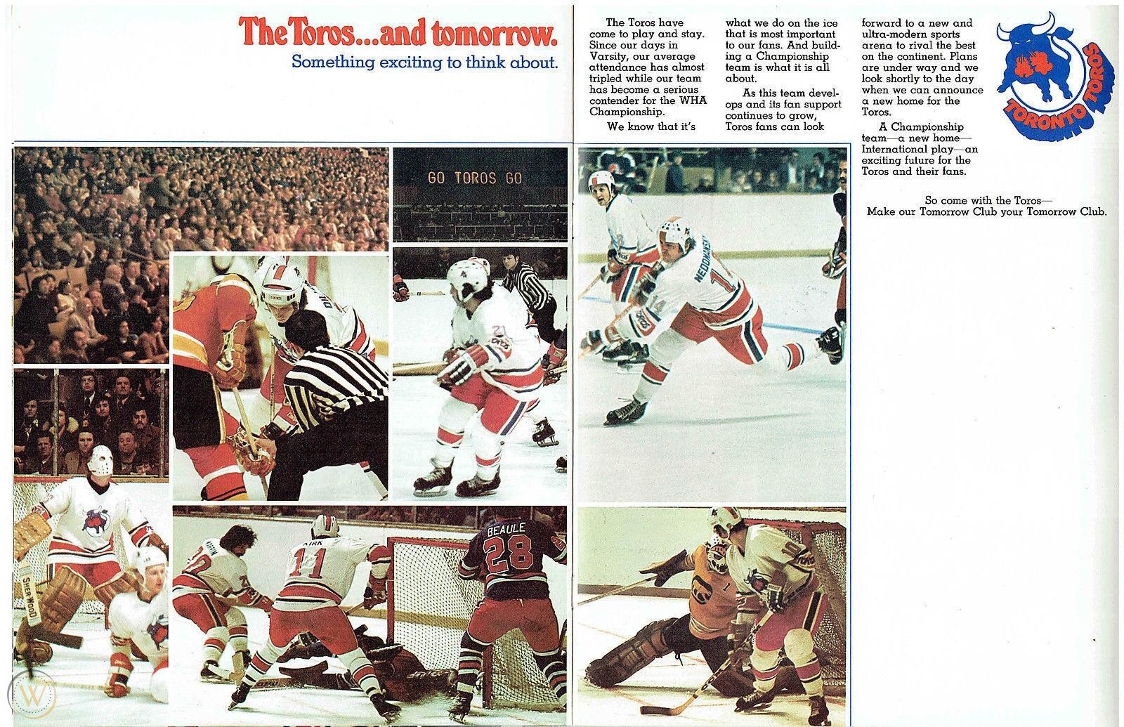 1975-76-toronto-toros-wha-pre-season_1_435aed905bae4b60f8b614a9e91cb683.jpg