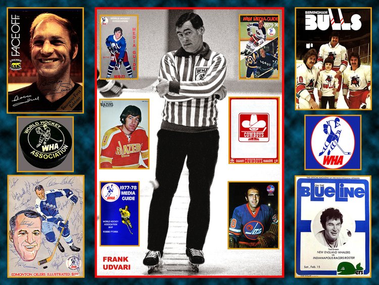 World Hockey Association - 1976-77 WHA Season Overview