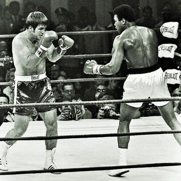 Screenshot 2026-02-01 at 22-18-39 ali-vs-quarry-222-620x620.jpg (JPEG Image 620 × 620 pixels).png