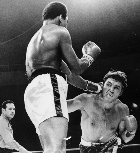 Screenshot 2026-02-01 at 22-18-58 quarry-muhammad-ali-888.jpg (JPEG Image 479 × 525 pixels).png