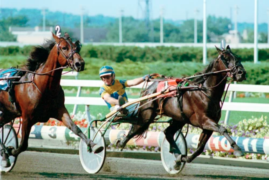 Screenshot 2026-05-31 at 21-37-17 Probe & Park Avenue Joe - 1989 — Hambletonian Society Inc.png
