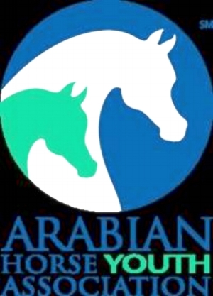 arabian youth .jpg