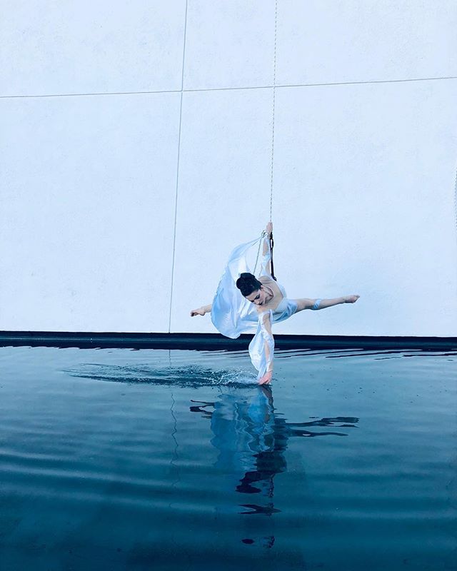 Thankful for the opportunity to perform at @galadedanza this past weekend with so many inspirational artists from around the world! 🙏🏽 #quixotic #aerialbeauty #walldance #galadedanza #viceroy #wallrunning #verticaldance #events #dance #dancefestiva