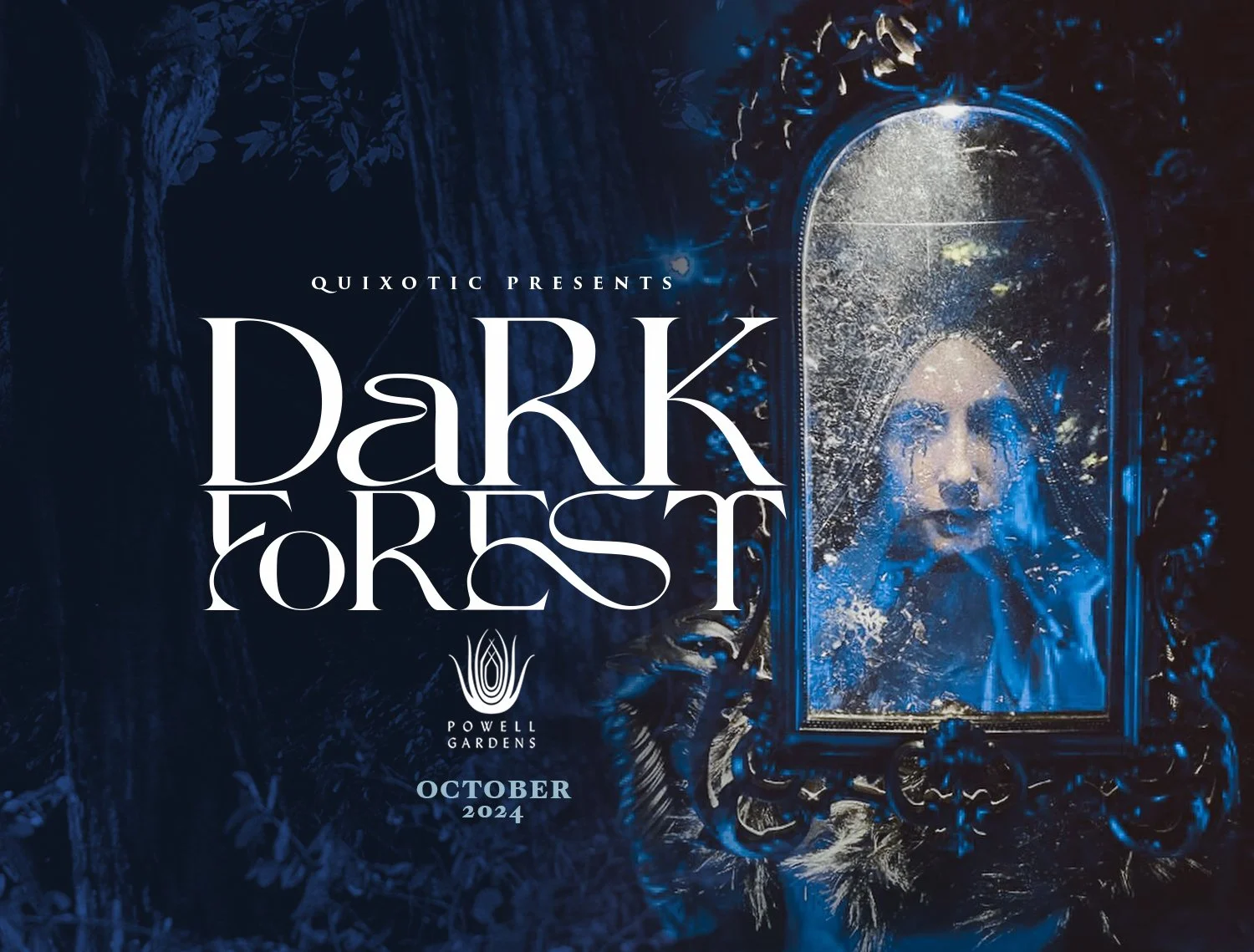 Dark Forest | Fall 2024 