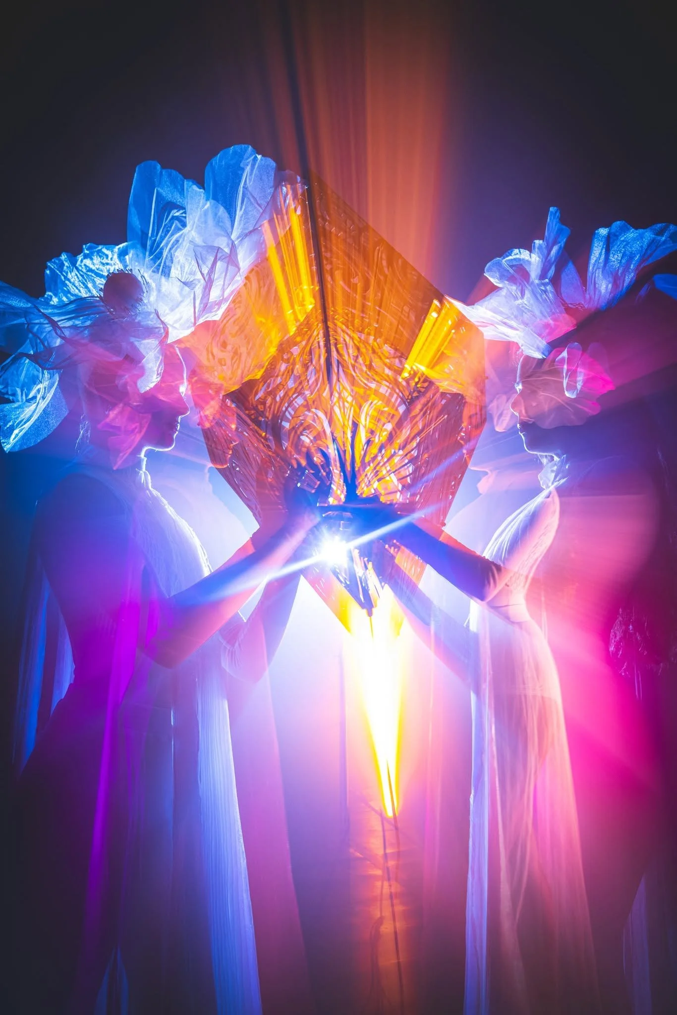 Terra Luna | An Enchanted Walk Through Light &amp; Sound 