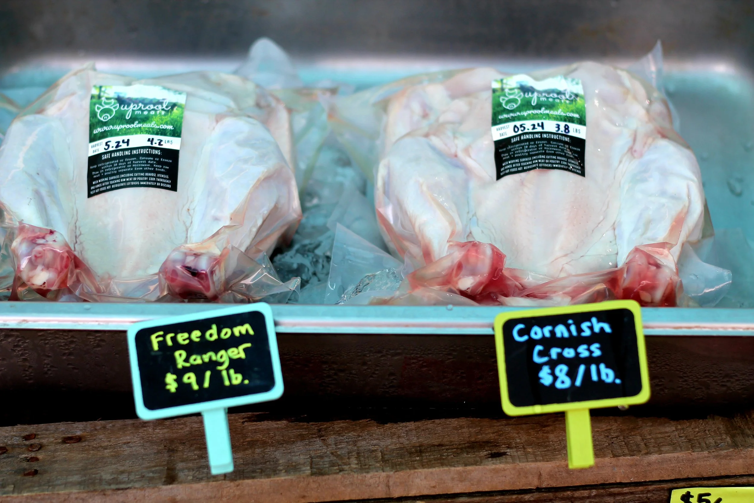 We offer two breeds of chicken to our customers - Freedom Rangers & Cornish Cross.
