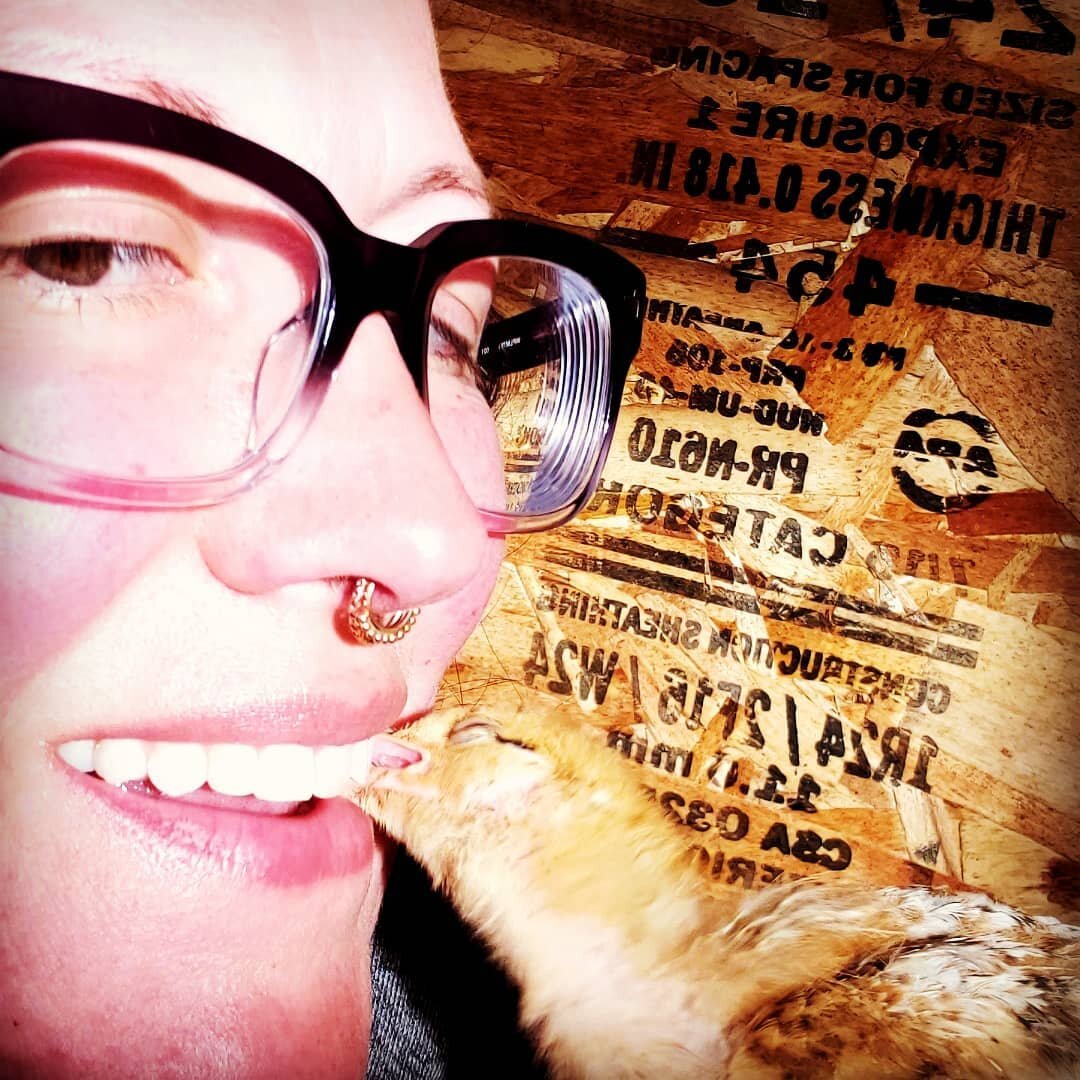 Give yourself the sweet gift that keeps on giving. Freedom Ranger chicken.  A great addition to your backyard garden. Message me for more info.

#freedomrangers #smartchicken

#ashlandoregon
#roguevalley #talentoregon #phoenixoregon #medfordoregon 

