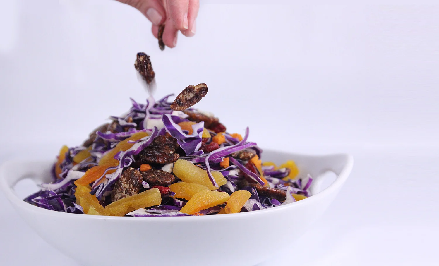Purple Cabbage with Apricots & Nuts
