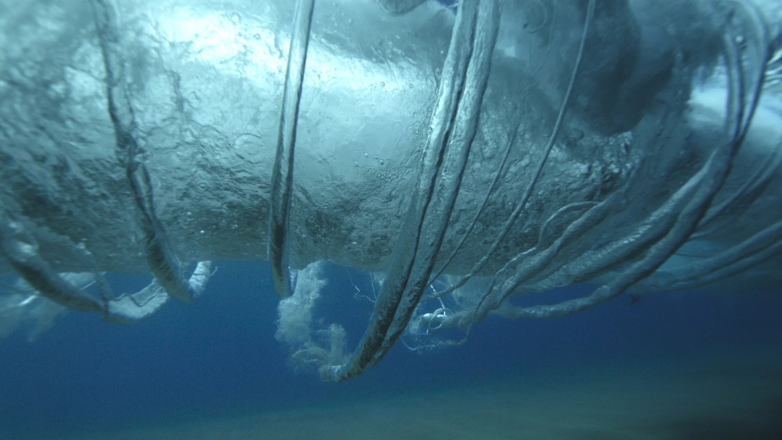 Nat Geo01353732.jpeg