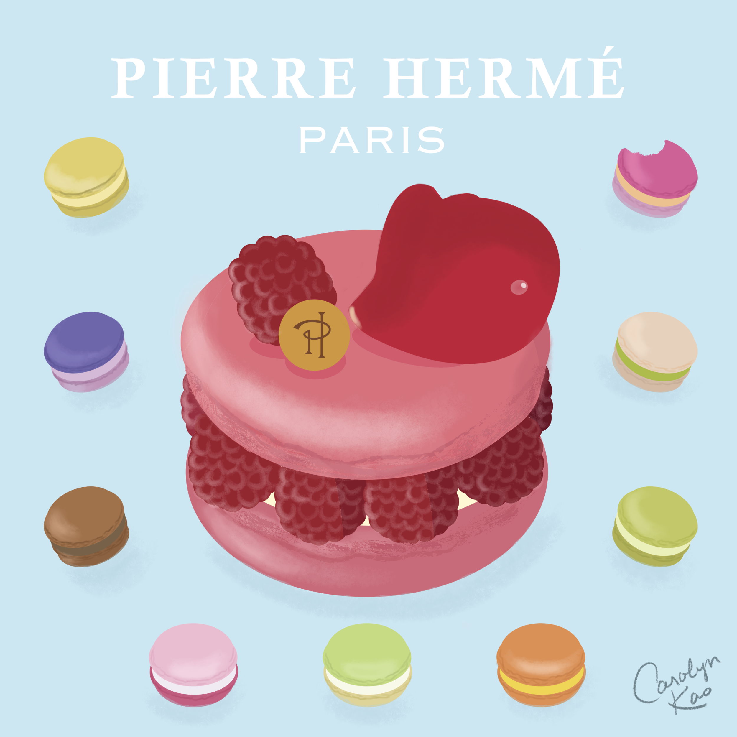 Pierre Hermé's Ispahan Macaron by Carolyn Kao © 