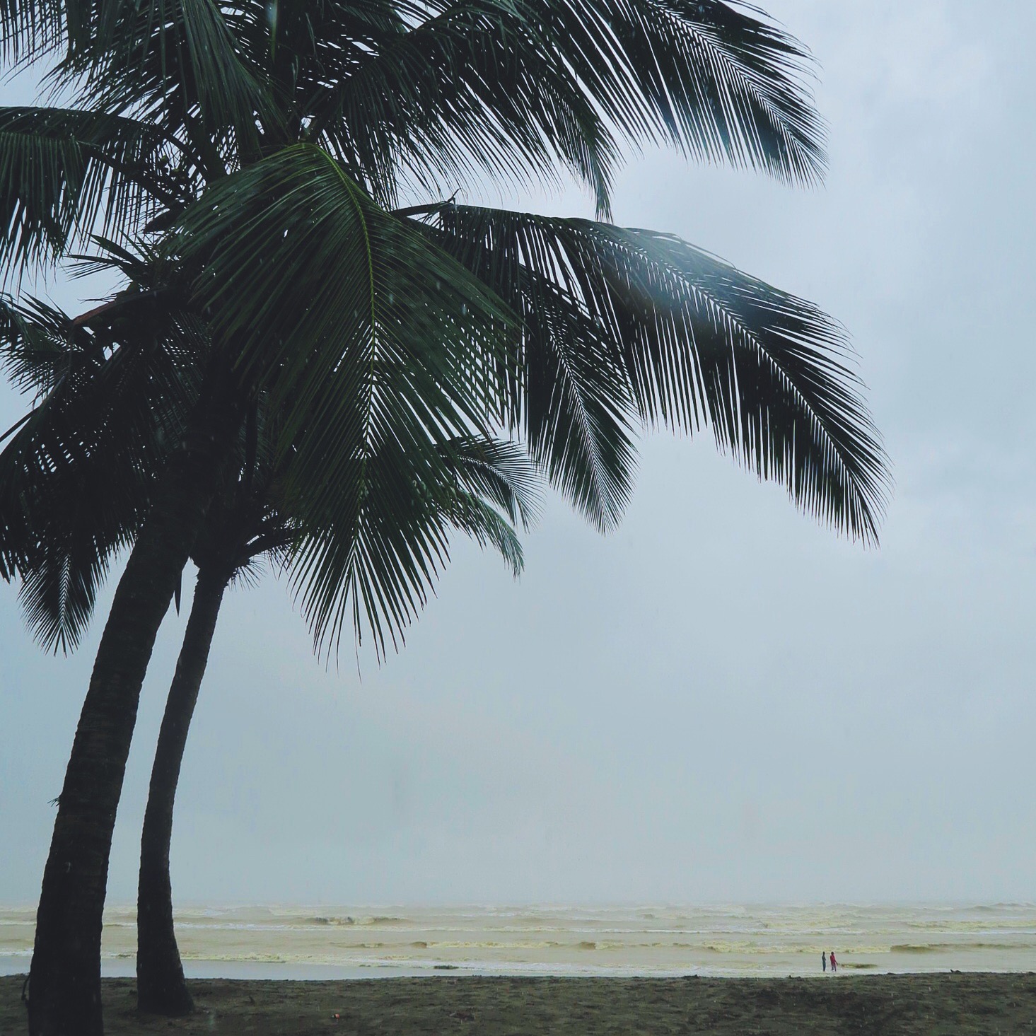 Cox's Bazar and it's tumbling brown waters