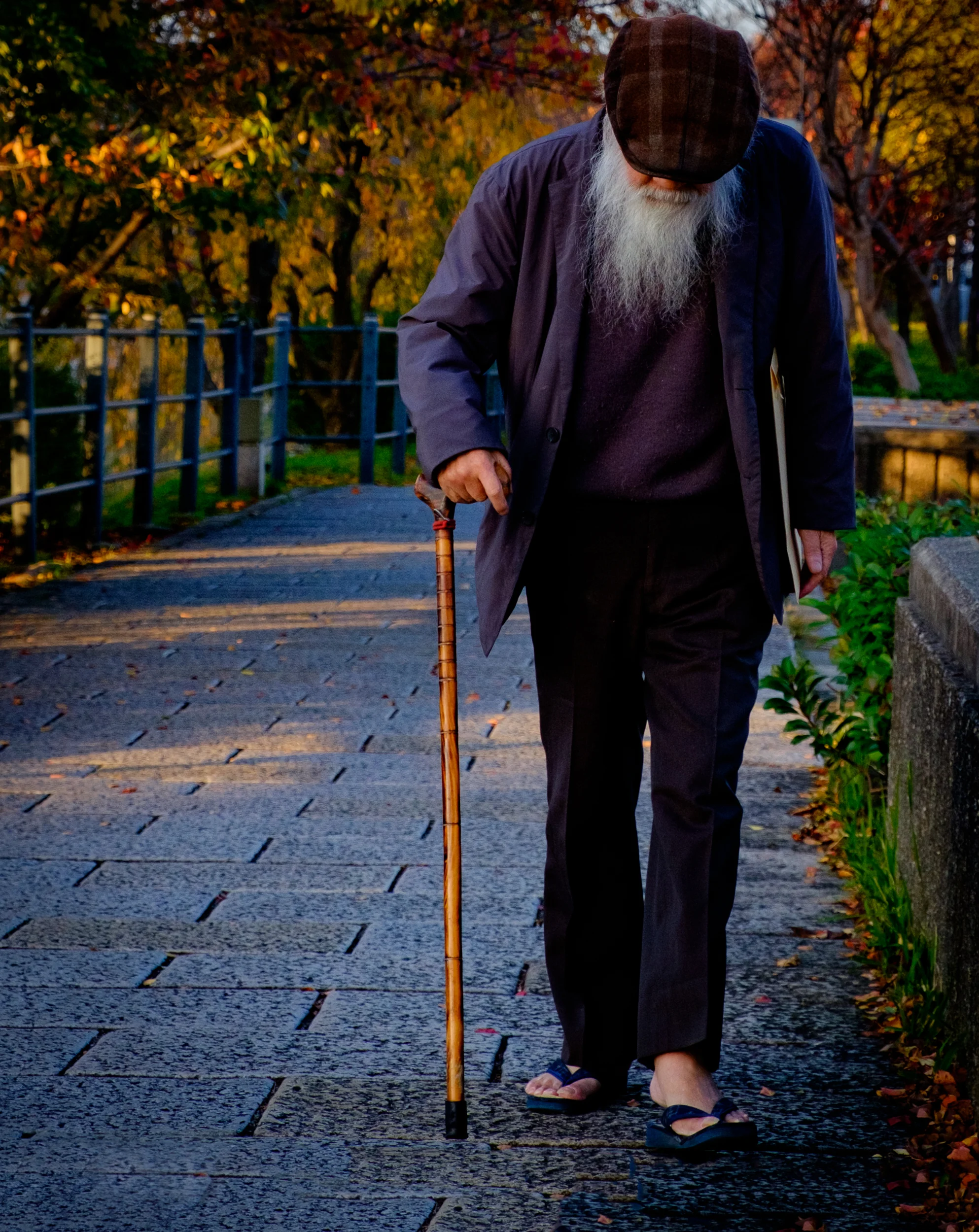 Old Man Kyoto.jpg