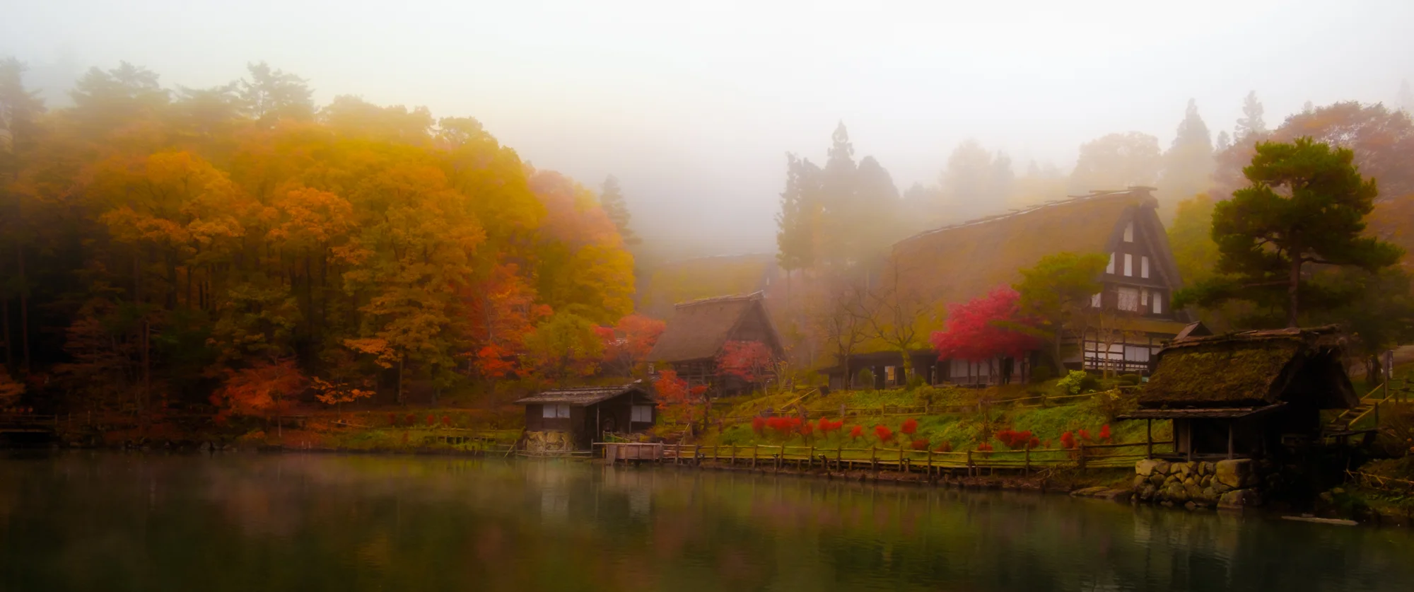 Takayama Swan – Fujifilm X-T10 with XF18-55mmF2.8-4 – 31mm – 1/100sec – ISO200