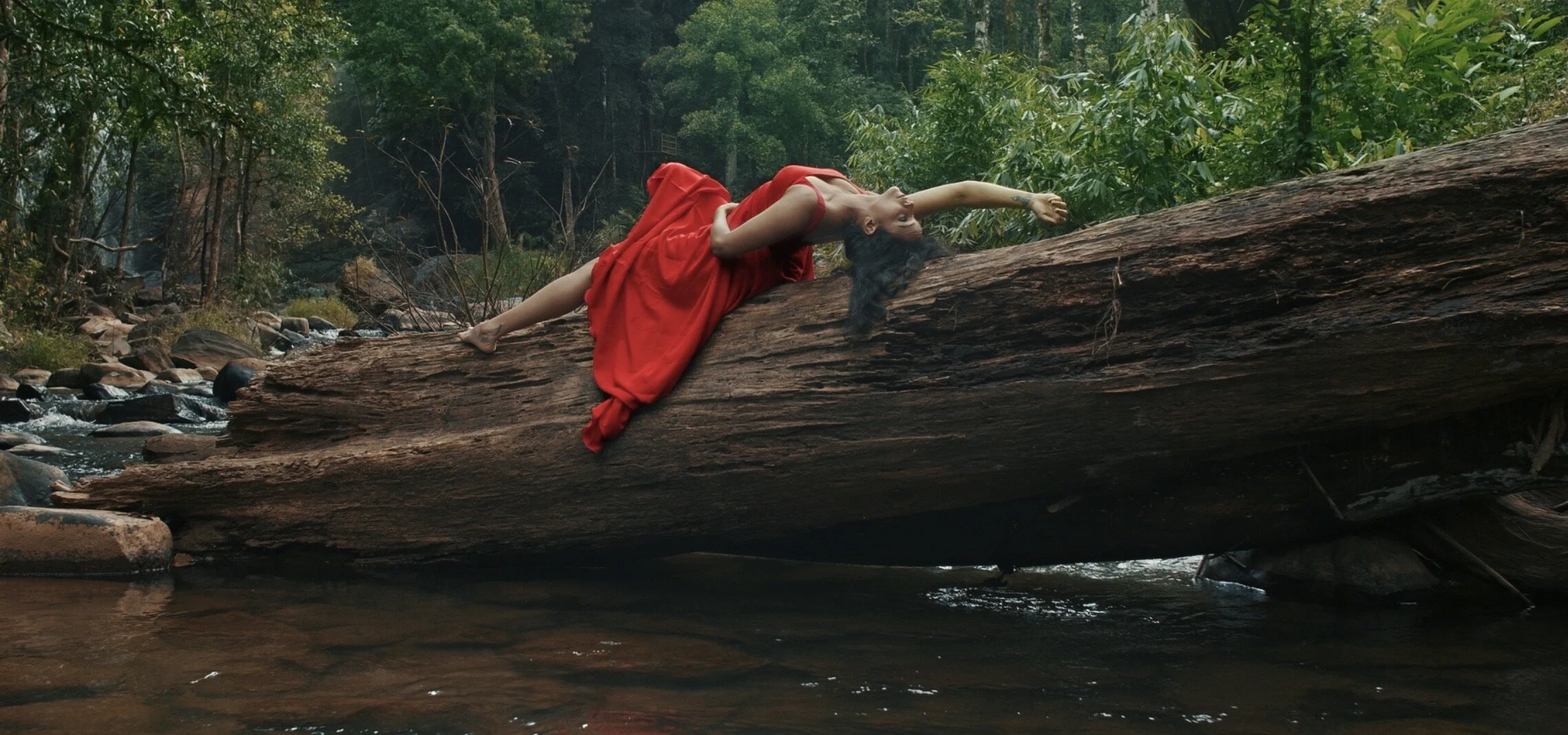 Find Yourself / Ayatana