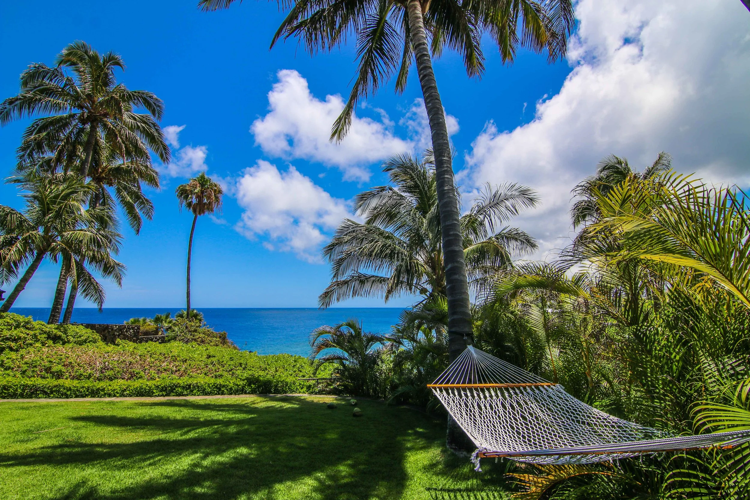 Hammock Lo.jpg