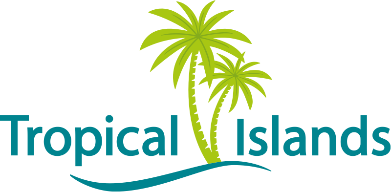 2017_TI_logo-rs.png