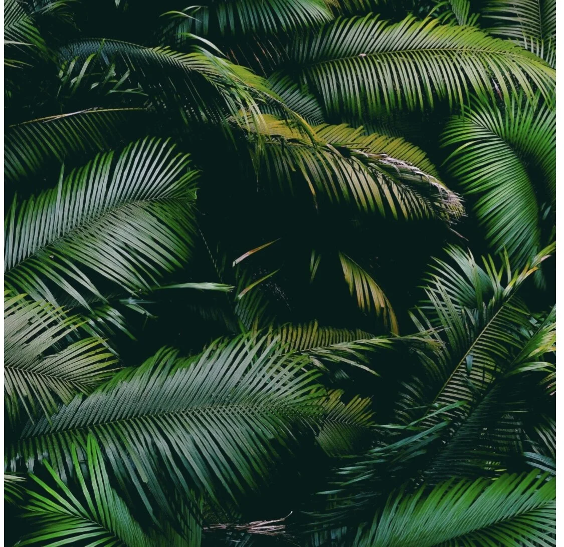 3A86E50D-04AB-4F6F-BAB6-FE87DD3FB480