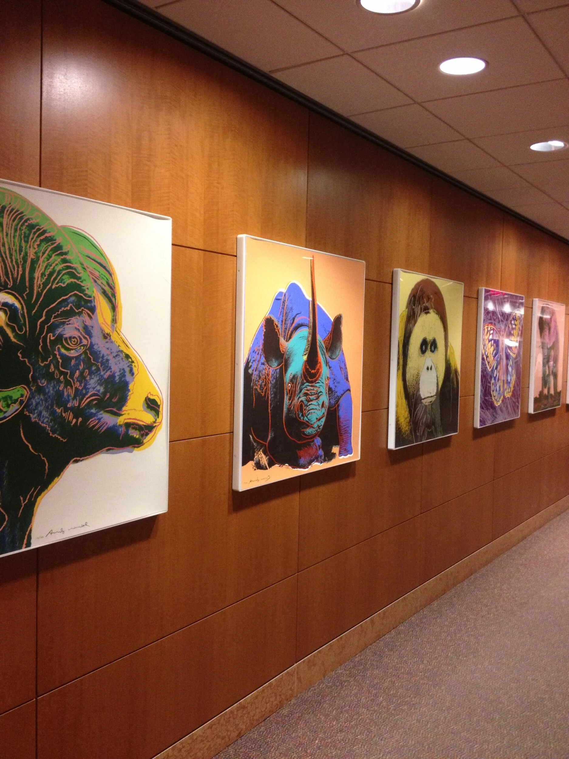 4C5725AC-1B40-4AF7-9C30-B312445495BE