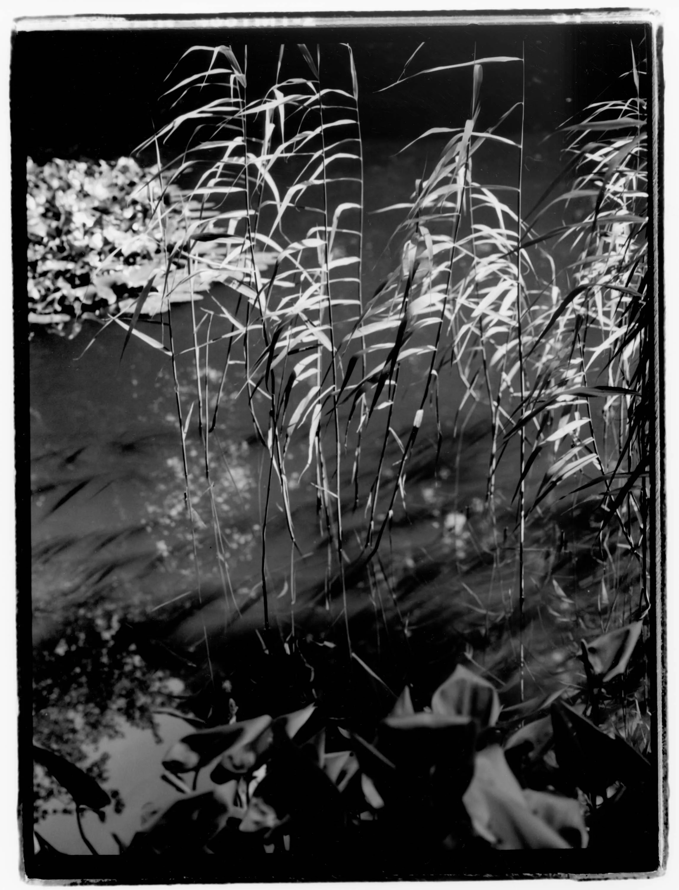 BW009.jpg