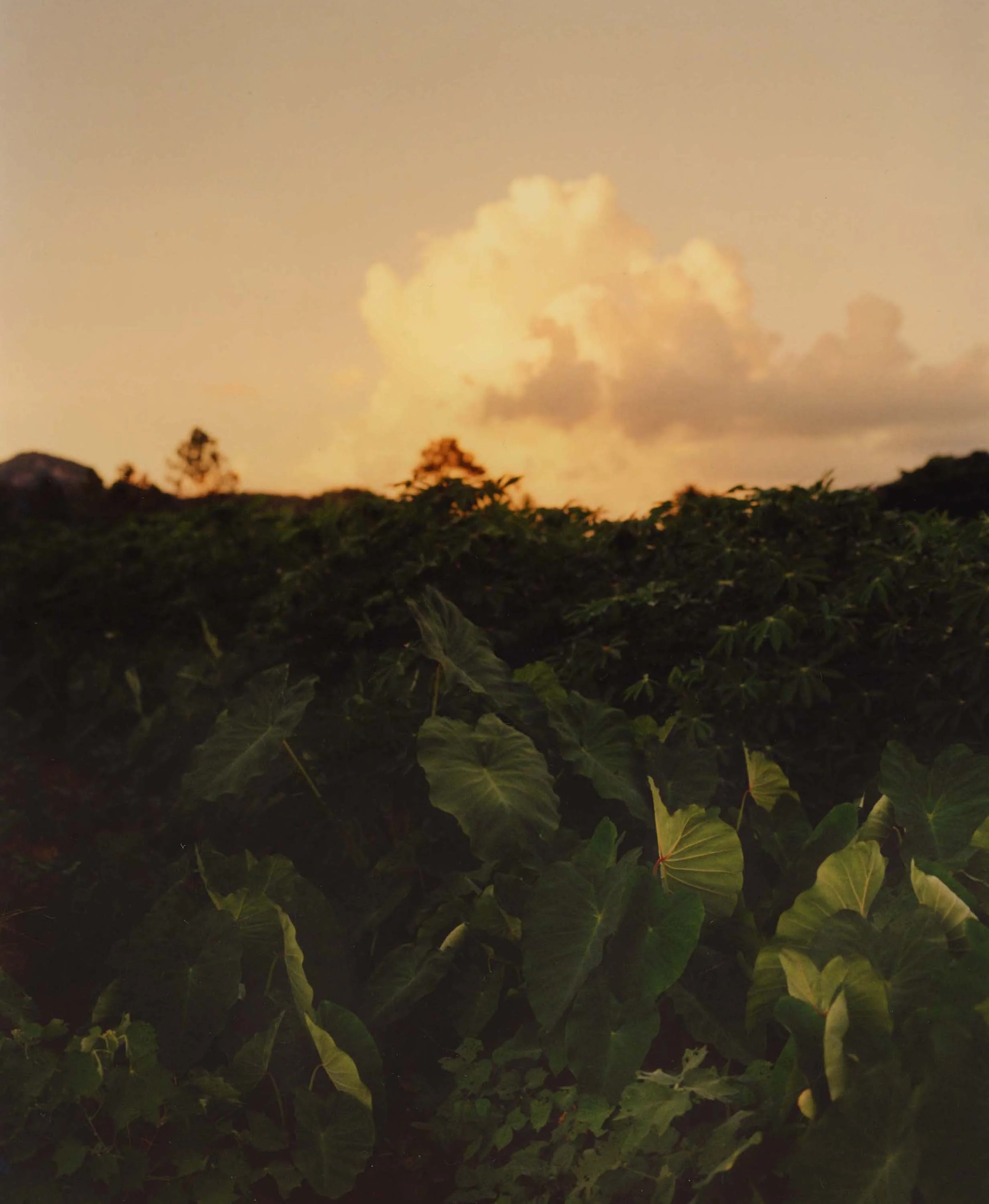 CUBA_120_01.jpg