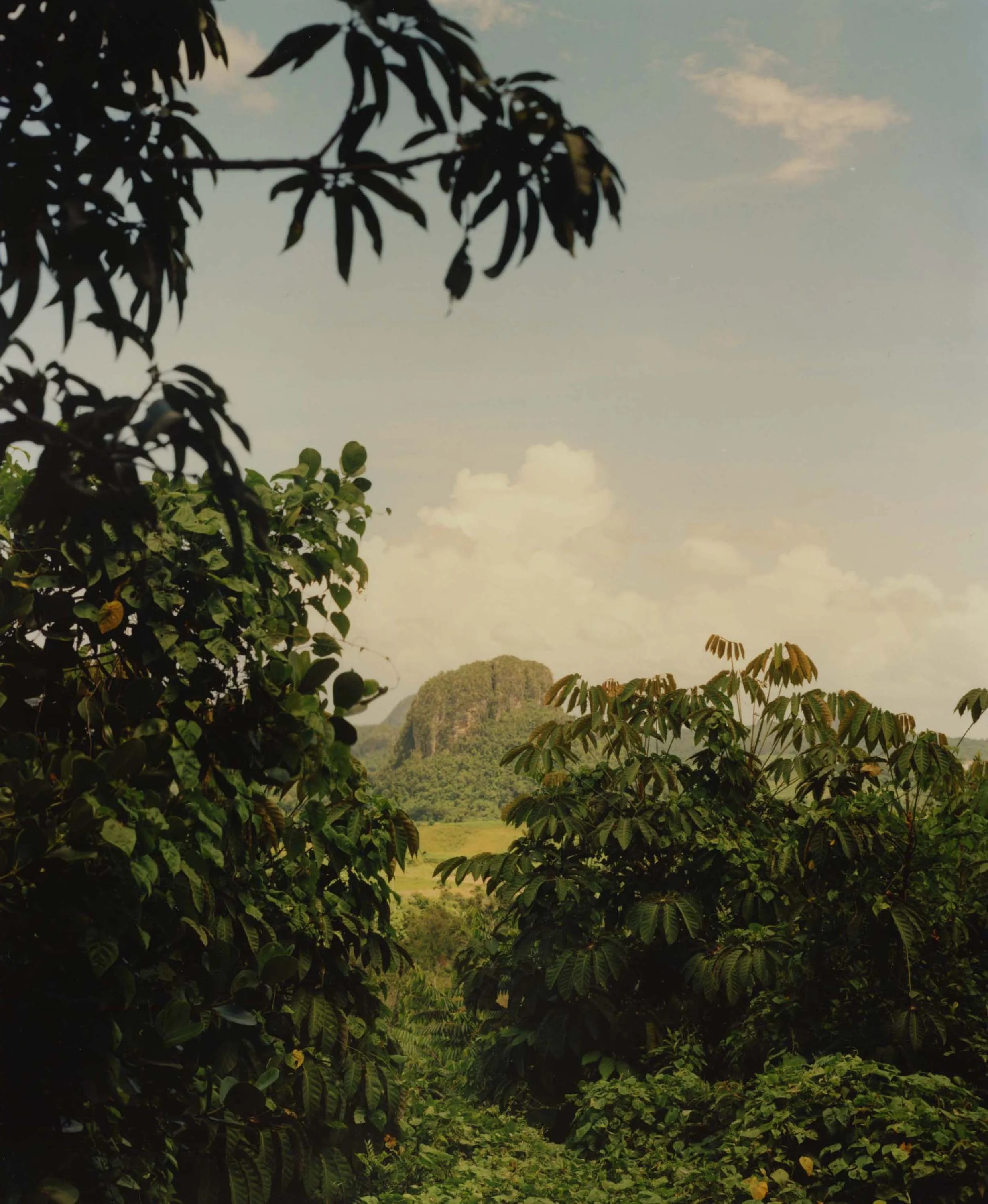 CUBA_120_02 2.jpg