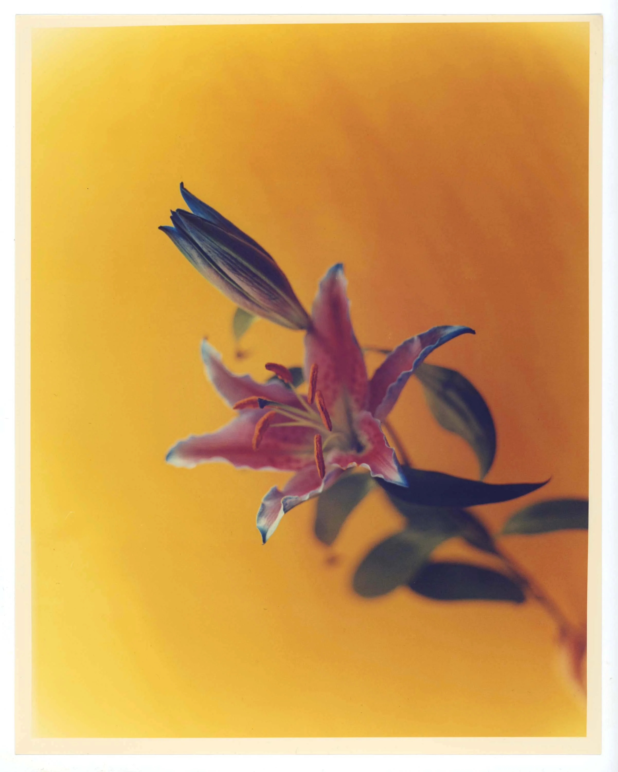 DARKROOM_MARCH_ (17).jpg