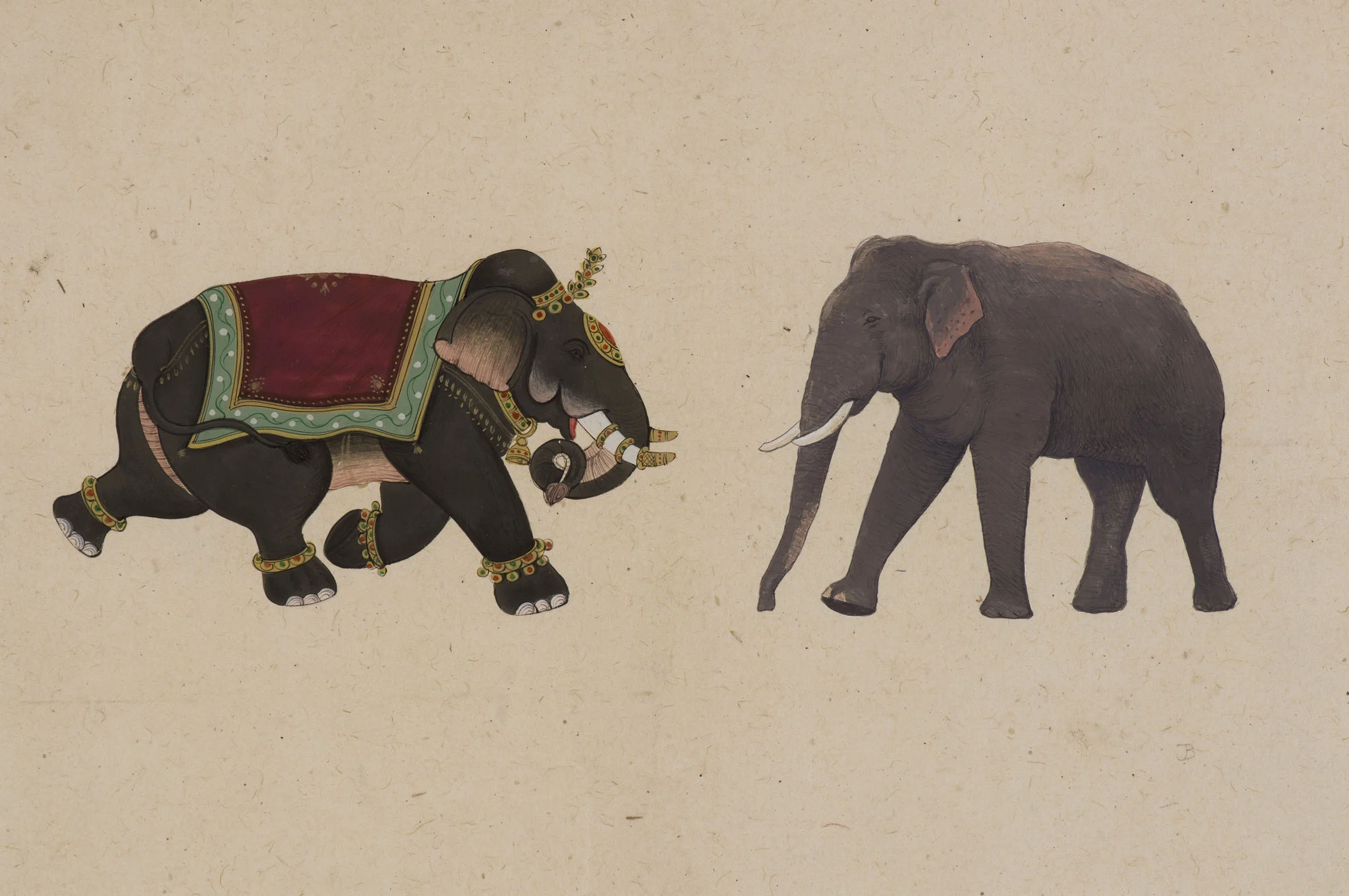 23. Two Elephants.jpg