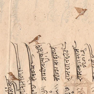 19-hostofsparrows.jpg