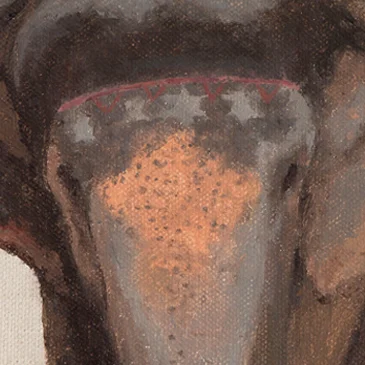 9-ElephantsofJaipur.jpg