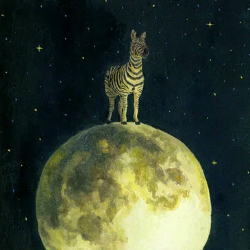 3-zebra.jpg