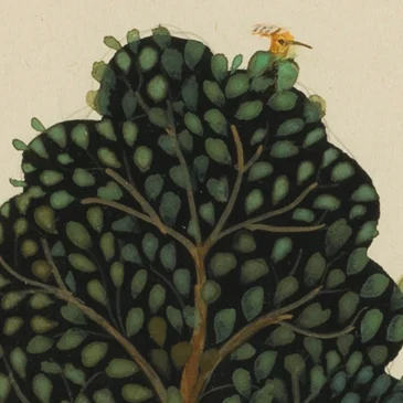 freetree.jpg